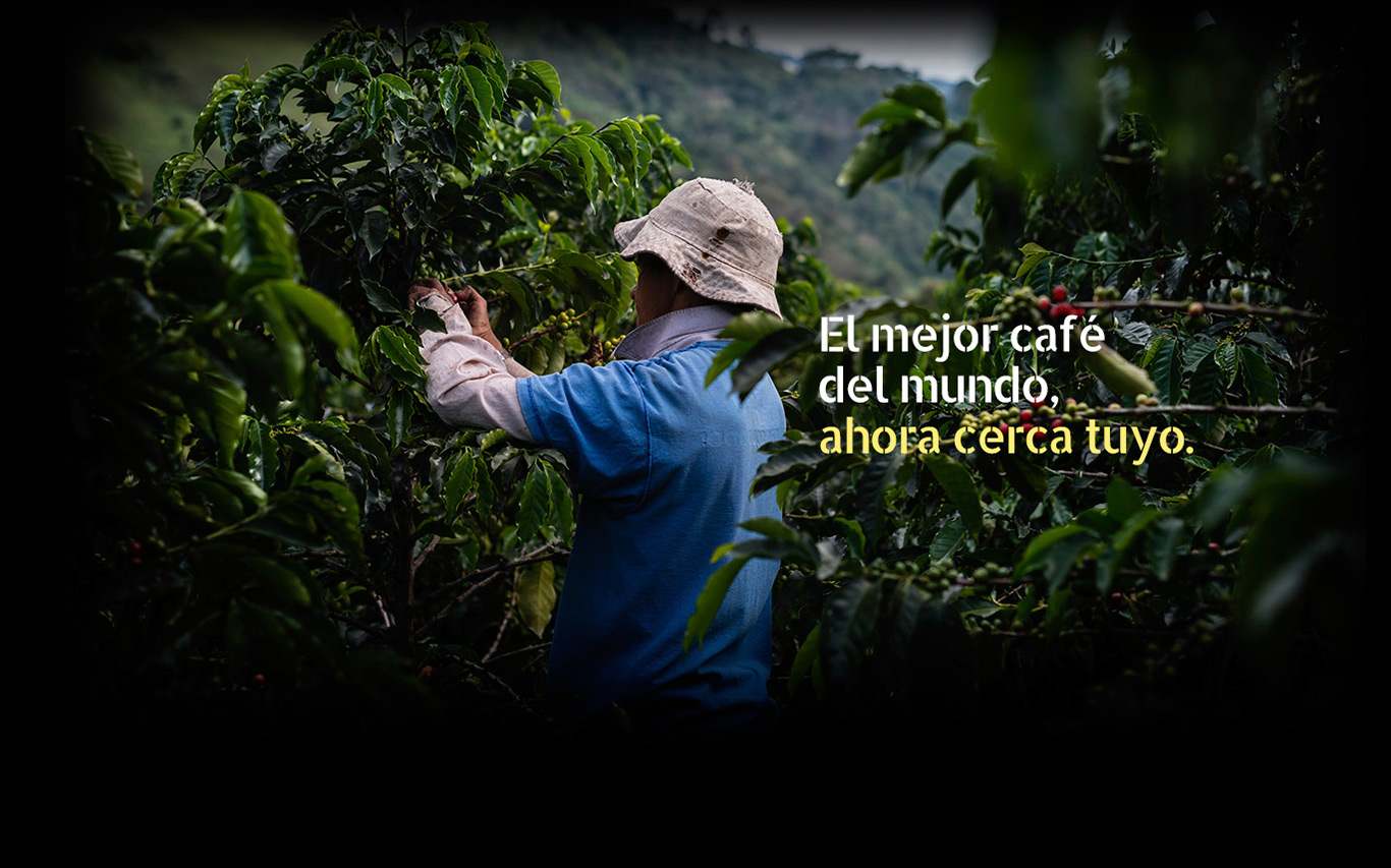 El mejor café del mundo ahora cerca tuyo