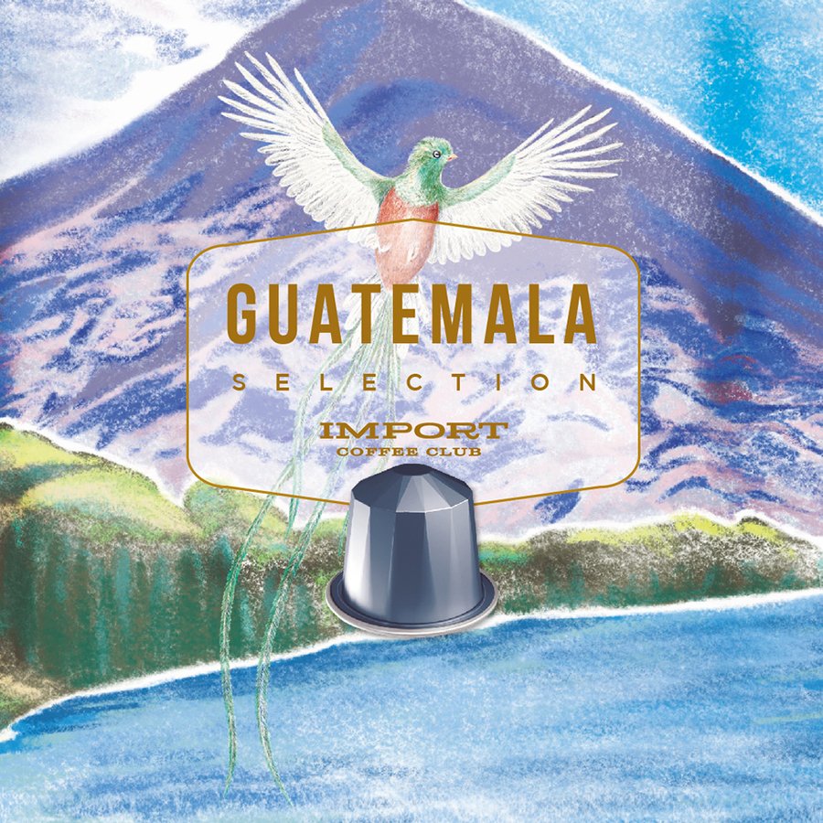 IMPORT - 08 | Guatemala Selection